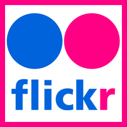 image logo flickr