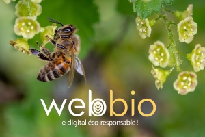 Webbio, avoir un site internet éco-responsable est possible !